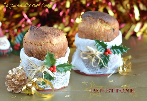 panettone noel cadeau gourmand