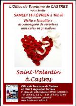 15 02 10 Saint Valentin à Castres