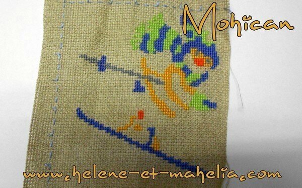 mohican_saljanv15_5