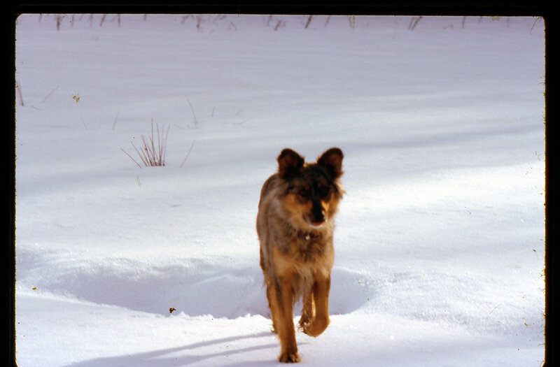 le temps des neiges (24)