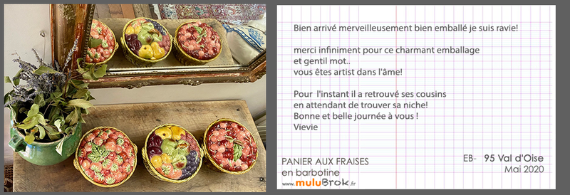 20-5-PANIER-AUX-FRAISES-muluBrok