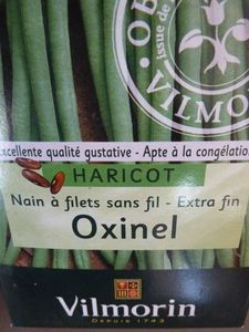 graines haricots oxinel (1)