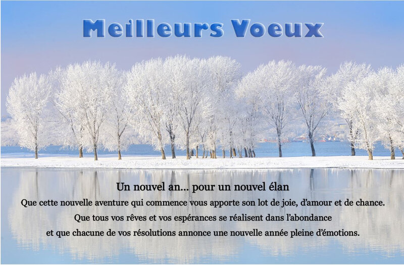 bonne année 2020