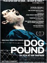 dog_pound