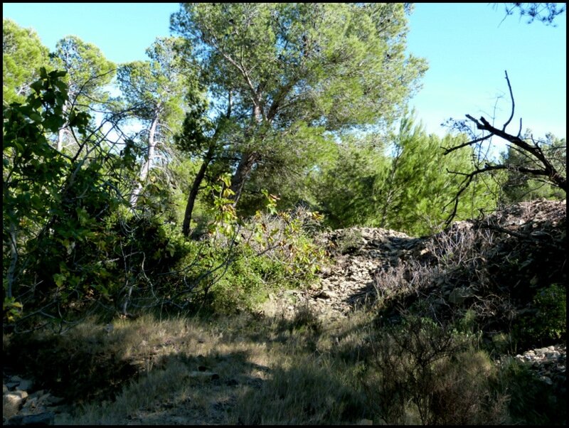 P1350555