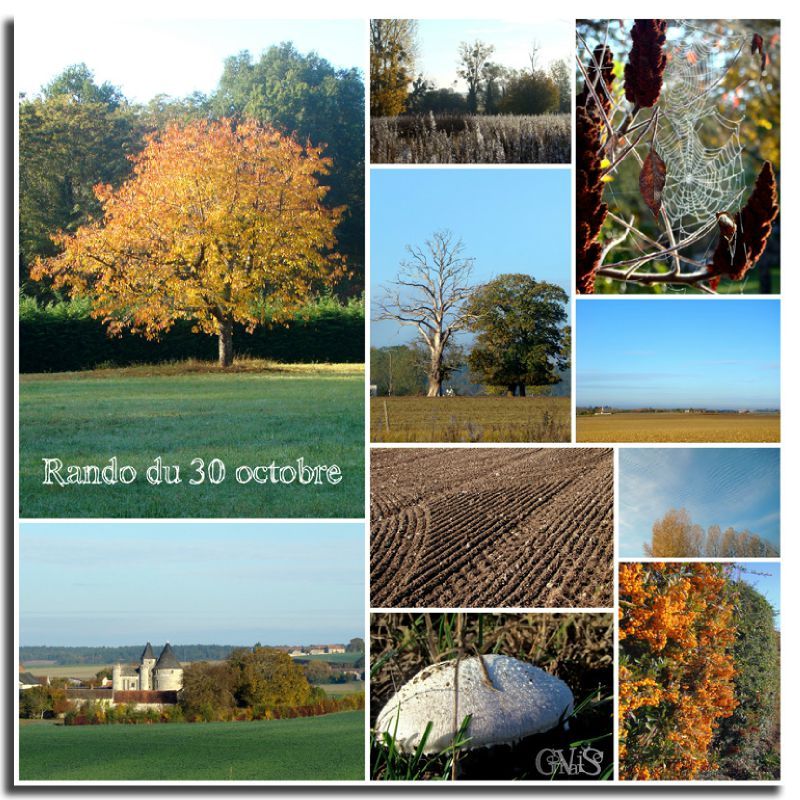 Rando du 30-10-11 copie