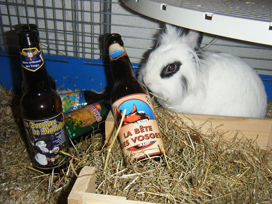 LAPIN A LA BIERE