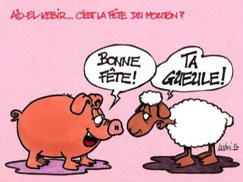 mouton-2