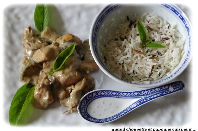 poulet au curry vert-1188