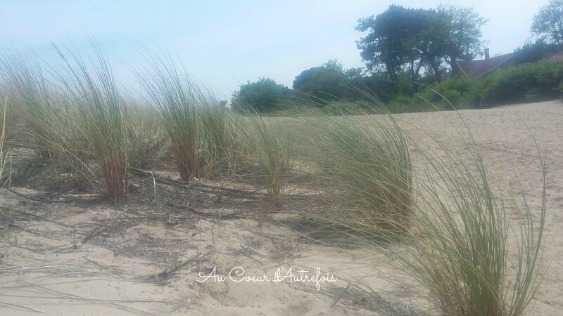 Cap Ferret S (11)