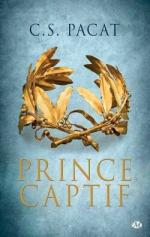 prince-captif,-tome-3---le-roi-637708-250-400