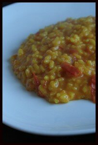 risotto_safran_3