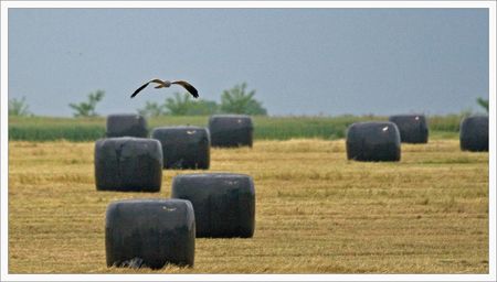 BC_paysage_bottes_210509