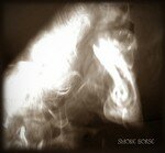 Smoke_horse___Tomita_Pataki