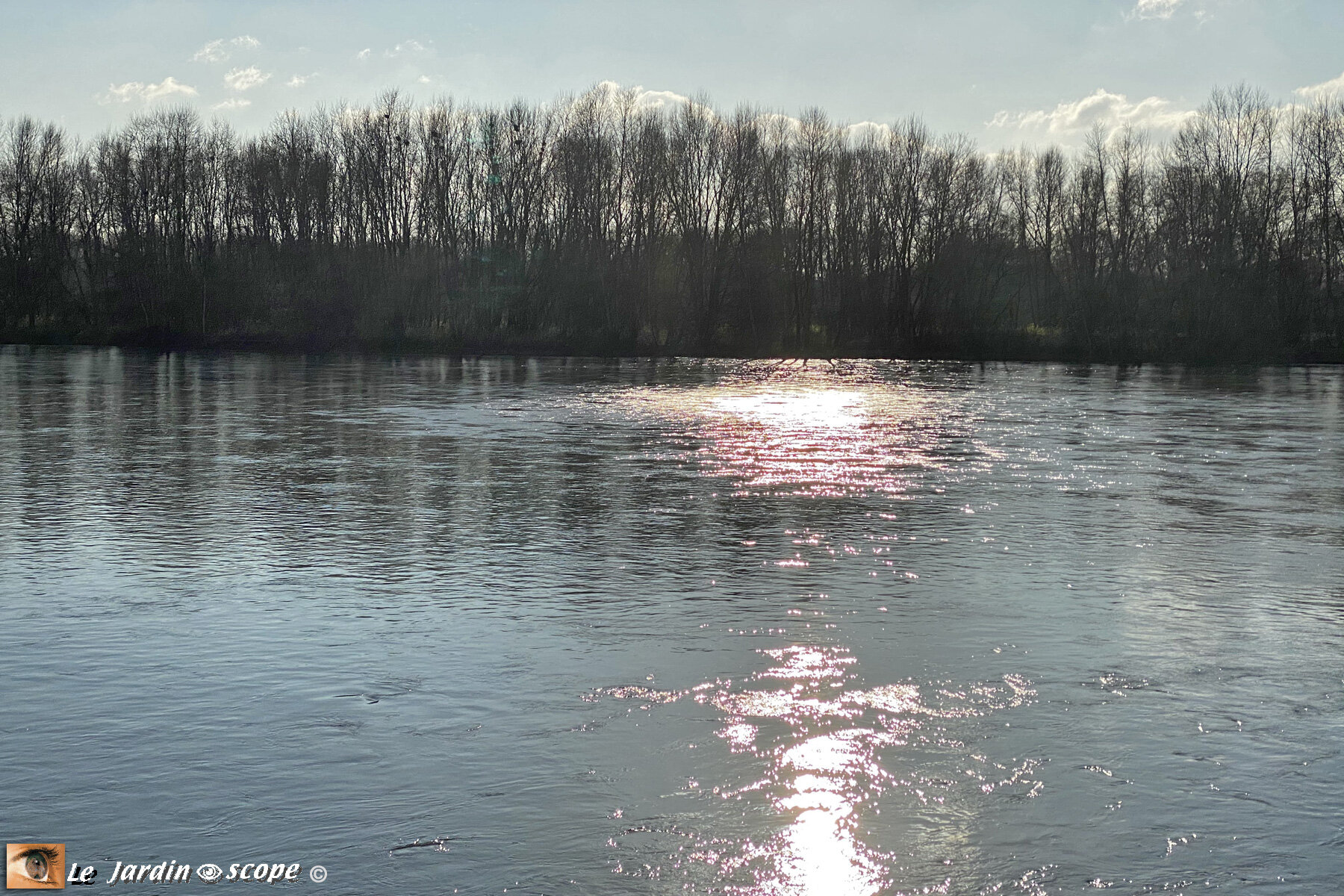 Reflet du soleil sur la Loire à Combleux en Janvier 2021