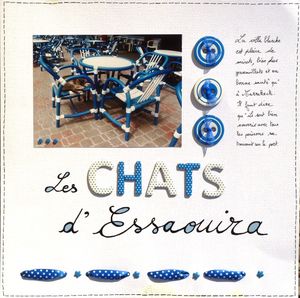 lilou752_les_chats_d_essaouira