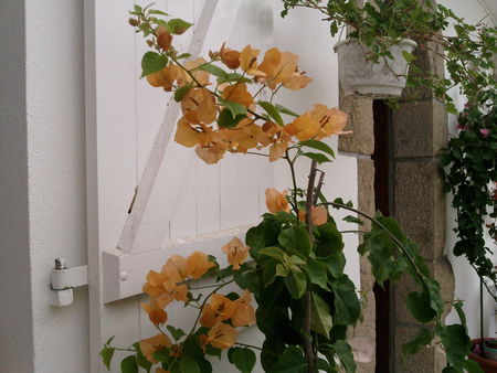 Photo0171