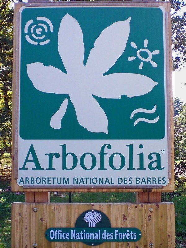 ARBOFOLIA