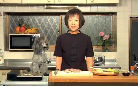 cooking_with_dog