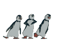 pingouin_016