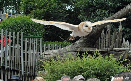 puy du fou 2012 096