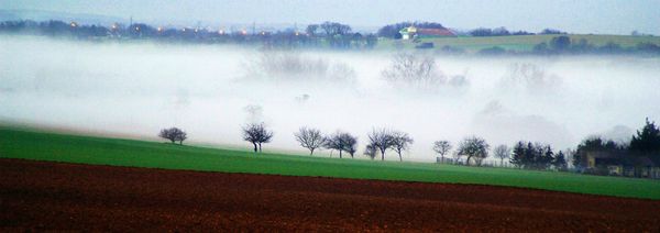 Viville brouillard (3)