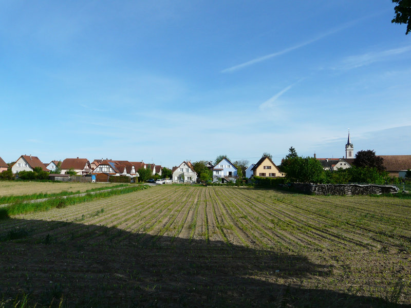 Sermersheim (10)