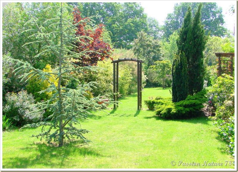 Petite promenade dans notre jardin (4)