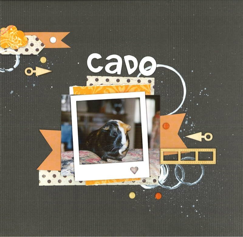 scrap cochin d'inde passion scrapbooking