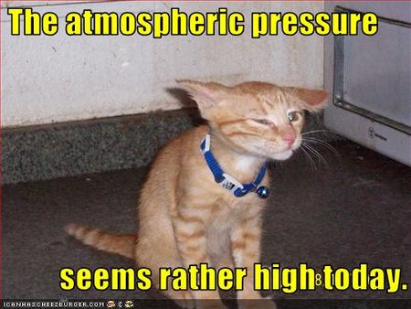 funny_pictures_cat_feels_atmospheric_pressure