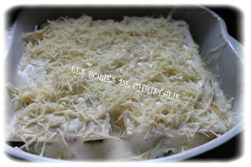 Lasagnes 14