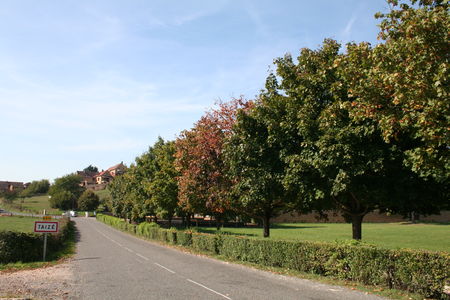 bourgogneoct2009_008