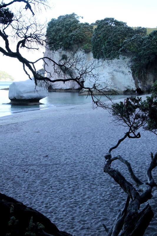 4W7A7602 Hahei Cathedrale Cove