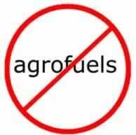 agrofuels_no1