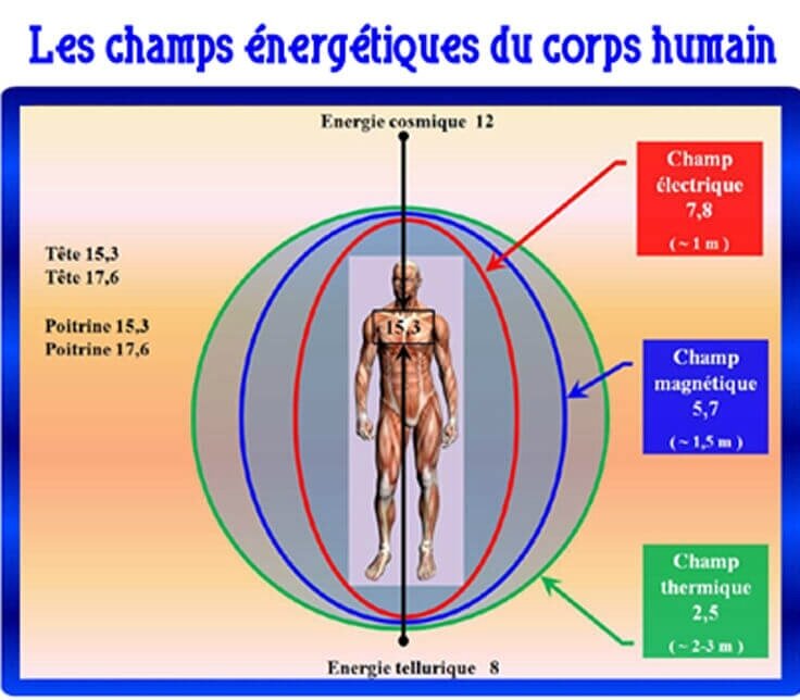 bioen