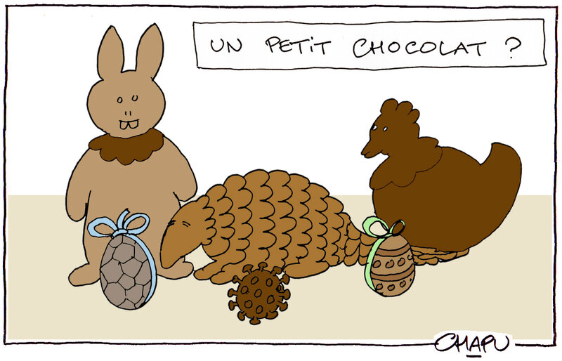 12-Chocolats