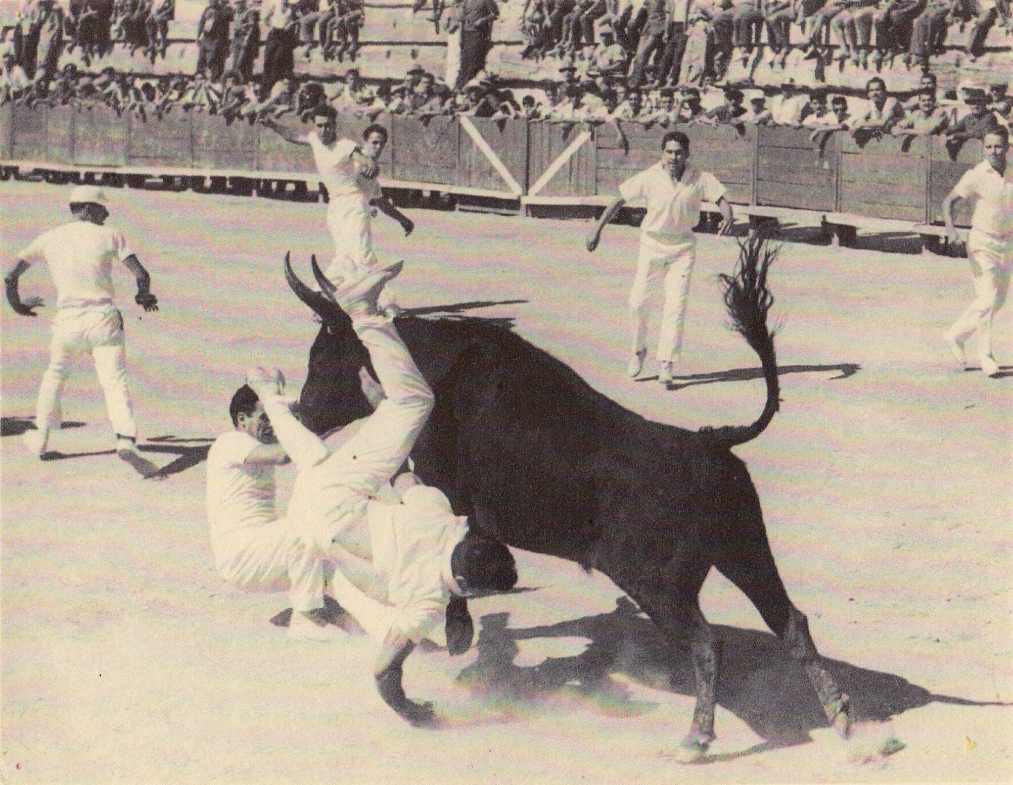 cocarde 1961 Cabrian de Lafont avec A Soler et Eyraud