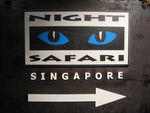 Night_safari