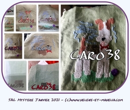 caro38_saljanv21_col3