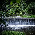 Canyon de Saulges, Mayenne, août 2014