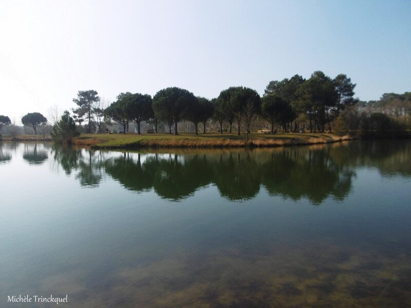 1-Etangs d'Ous Pins et de la Marnière 250219