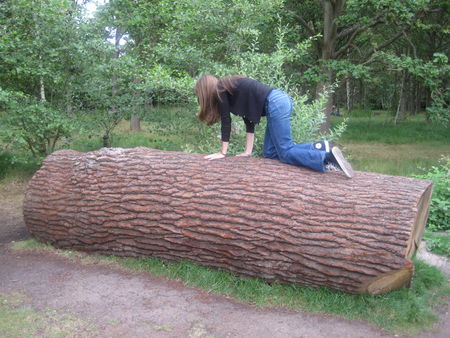 Photo_052