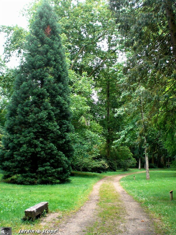 Promenade à l'arboretum de Châteauneuf sur Loire (45)