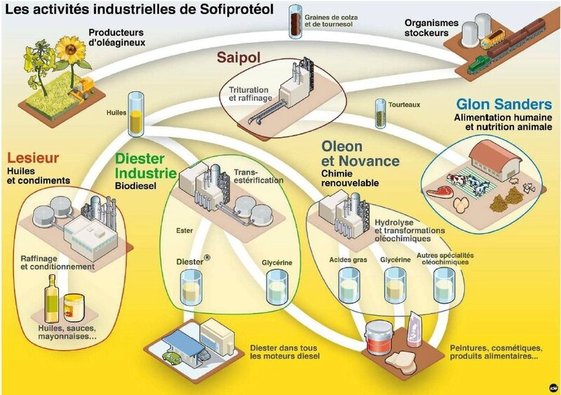 les_activite_de_sofiproteol