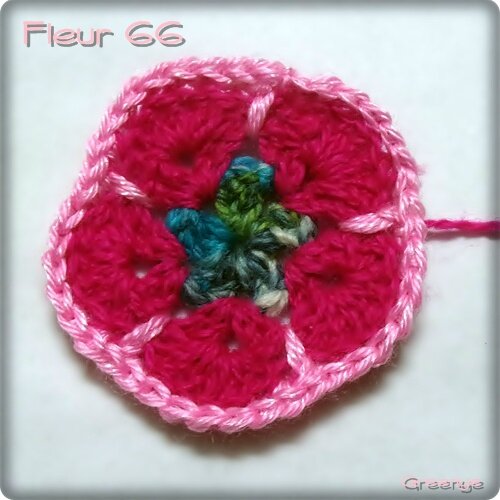 Fleur 66