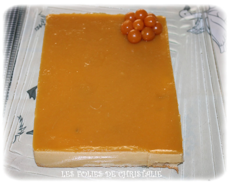 Bavarois passion mangue 7