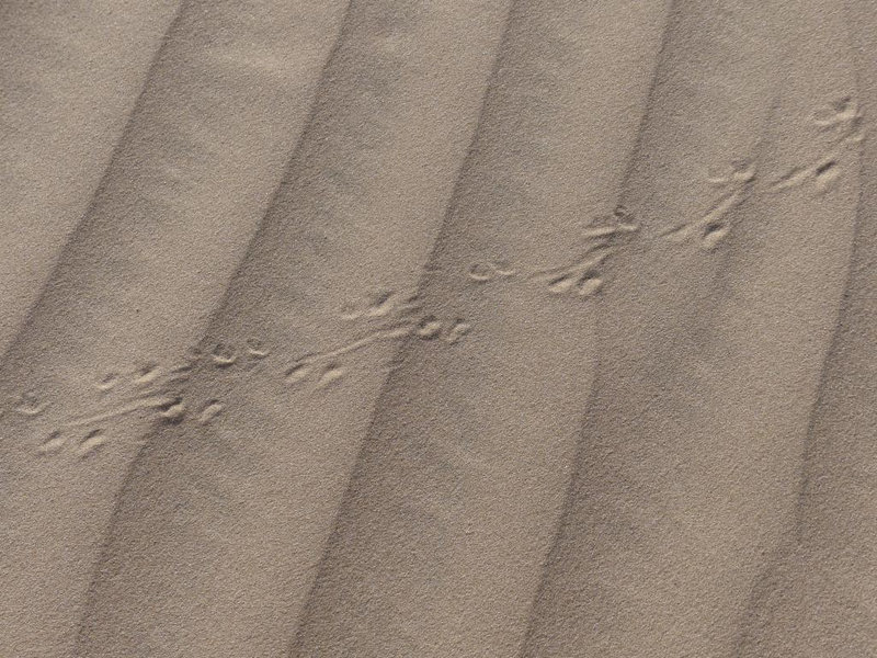 P1190777