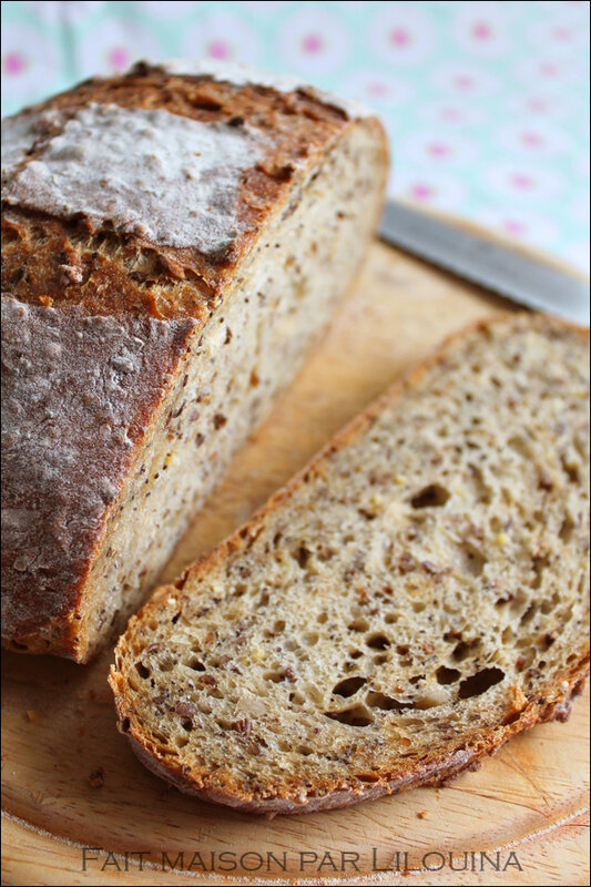 painsans petcereales01