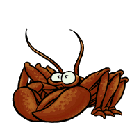 crabes002