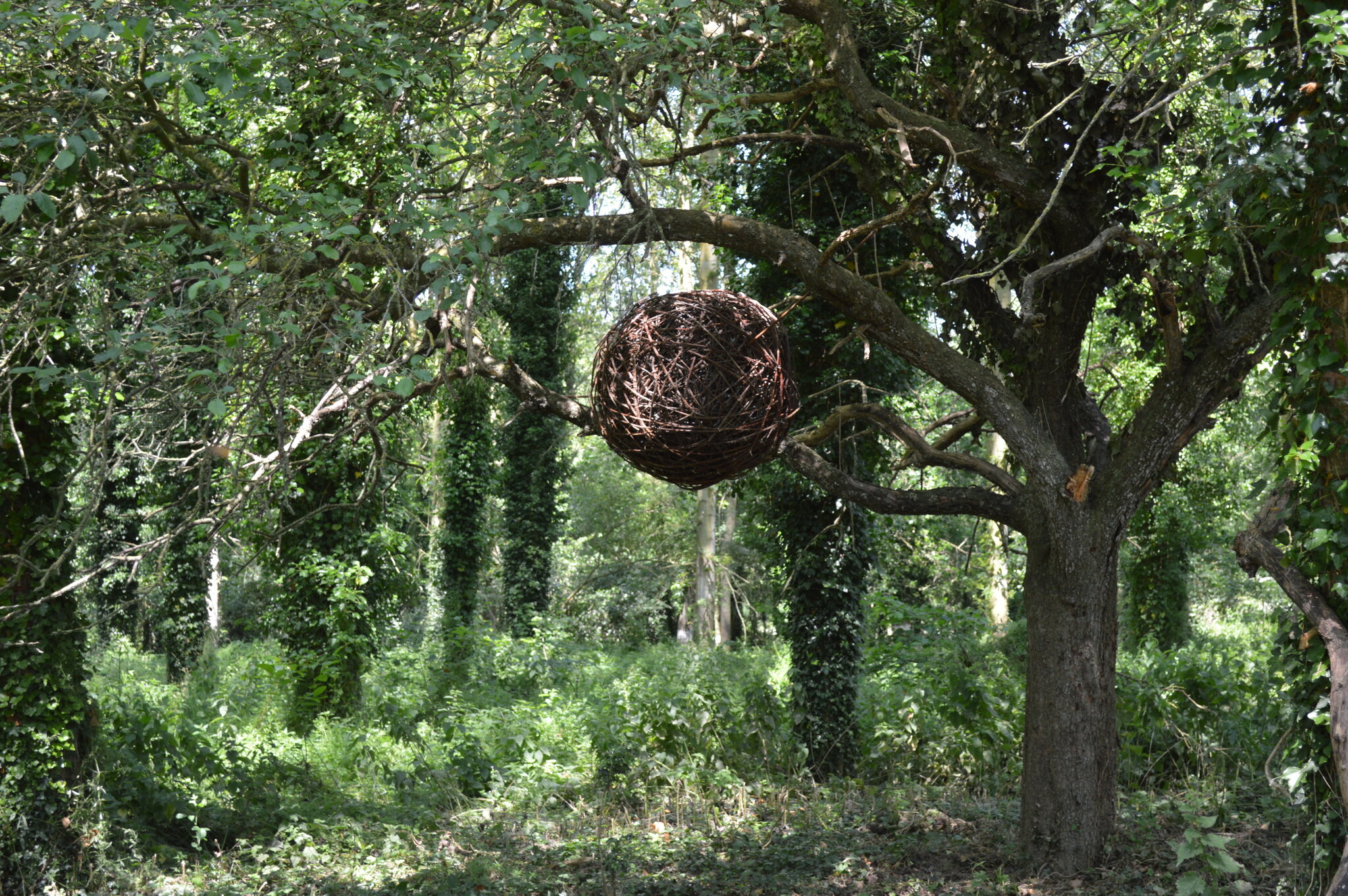 Sibylle-Besancon, boule_de_ronce, l-art-est-dans-les-bois